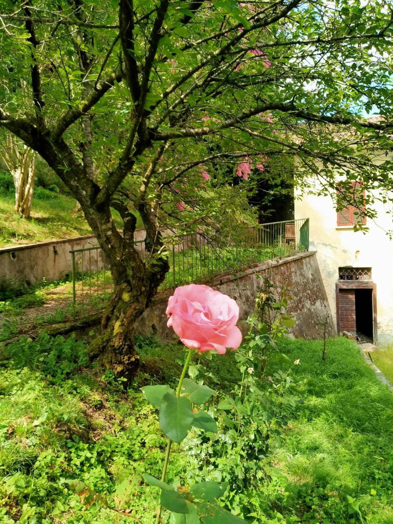 Casa Valduggia B&B 외부 사진